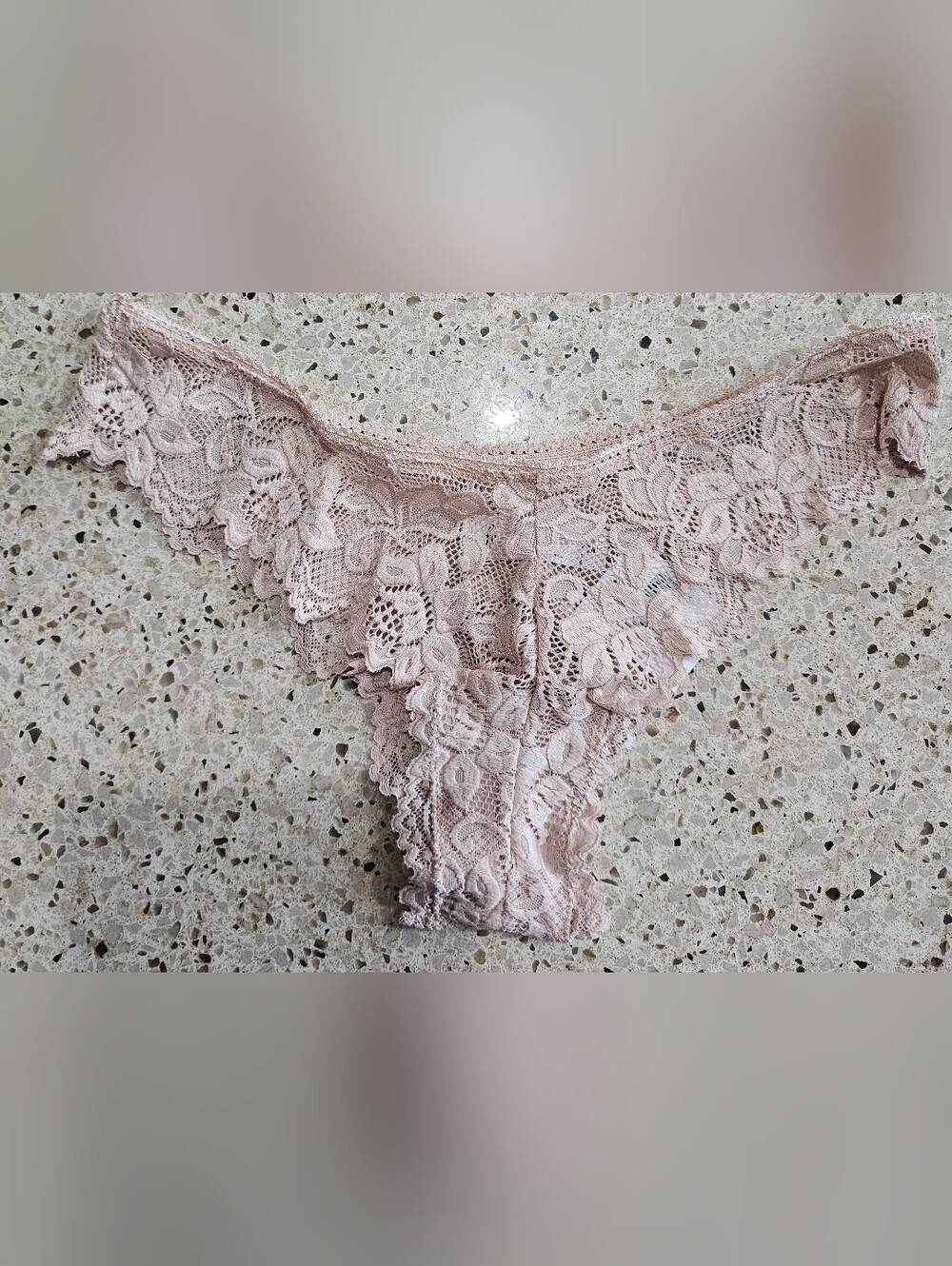 Lace Bikini Panty - Blush Pink nude